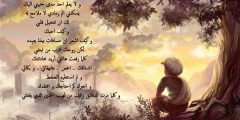أجمل قصيده غزليه مكتوبة