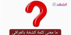 survey معنى‎
