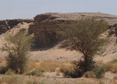 6. محمية الكنفة 6. محمية الكنفة