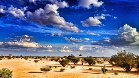 9. محمية محازة الصيد 9. محمية محازة الصيد