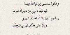 ابيات قصيده عن الشوق