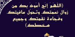 ادعية كل ليلة من شهر رمضان 1446
