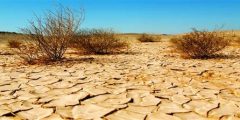 اسباب التصحر وتدهور الأراضي الزراعية منها