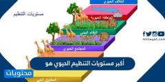 أكبر مستويات التنظيم الحيوي هو