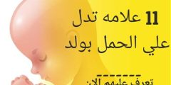 ابرز علامات الحمل بولد بالتفصيل