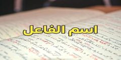 اسم الفاعل من الفعل استخرج