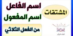 اسم المفعول من الفعل الثلاثي حُمِدَ ماذا