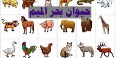 اسم حيوان بحرف ع