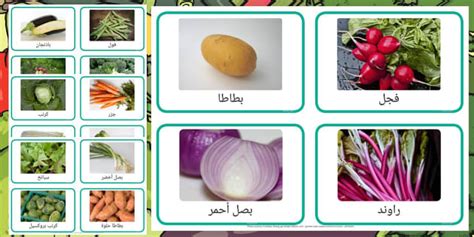 تصنيف الخضروات حسب الأجزاء المستخدمة تصنيف الخضروات حسب الأجزاء المستخدمة