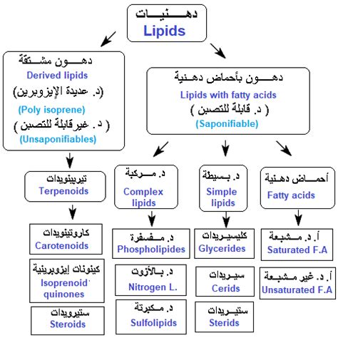 تصنيف الدهون تصنيف الدهون