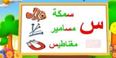 اسم حيوان بحرف س
