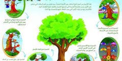 أهم فوائد الشجره للبيئة