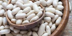 أهم فوائد الفاصوليا البيضاء للصحة