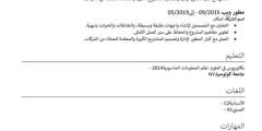 أفضل نموذج سيرة ذاتية عربي doc