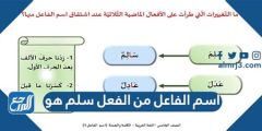 اسم الفاعل من سلم