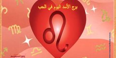 اسرار توافق برج الاسد والحوت في الحب