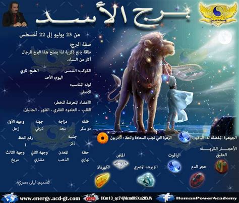 برج الأسد والحيتان متوافقان مع الحب برج الأسد والحيتان متوافقان مع الحب