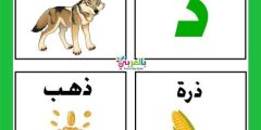 اسم جماد بحرف ذ ما هو ؟