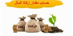 استعلام عن مخالفات الزكاة والدخل 1446