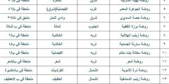اسماء الروضات الحكومية في جدة 1446 وطريقة التسجيل بها