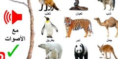اسم حيوان بحرف الالف