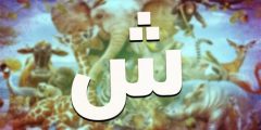 اسم حيوان بحرف ش الشين