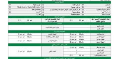 استمارة الفحص الطبي pdf نظام نور