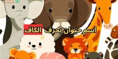 اسم حيوان بحرف س
