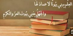 أجمل ابيات شعر في طلب العلم 2025 عبارات عن طلب العلم؟