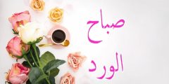 كلمات صباح الورود واجمل العبارات 2025 عبارات صباح الخير؟