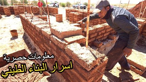1-بيئة مناسبة للرطوبة وبناء أعشاش 1-بيئة مناسبة للرطوبة وبناء أعشاش