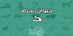 اسم حيوان بحرف ذ الذال ومعلومات مفيدة عن كل حيوان