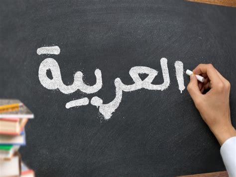 عناصر السمة التي عبر عنها القرآن