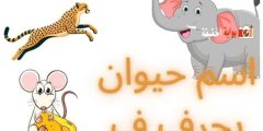 اسم حيوان بحرف ف الفاء وأهم معلومات مفيدة عن الحيوانات