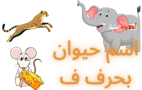 اسم الحيوان بحرف في الأداء