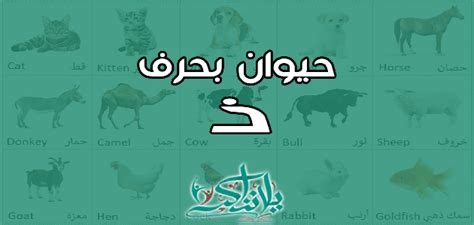 اسم الحيوان بحرف مشهور اسم الحيوان بحرف مشهور