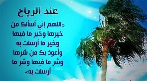 doaa عندما ترى الريح والعاصفة doaa عندما ترى الريح والعاصفة