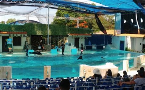 Samavi Aquarium و Tiger Park