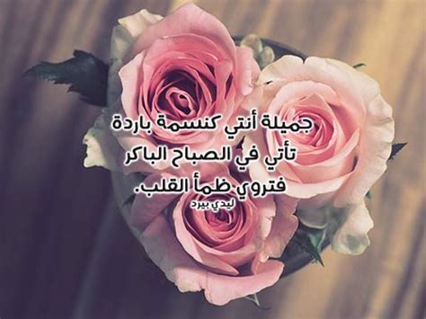 عبارة جميلة عن الفتاة الوحيدة على تويتر