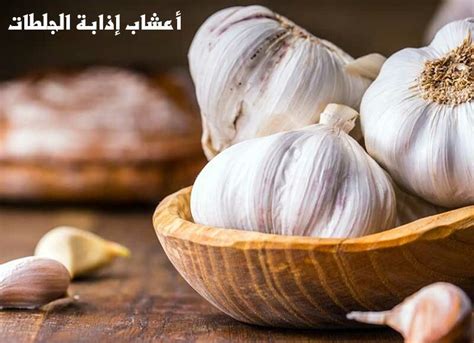 الشلل (الأعشاب الذائبة الجلطات) الشلل (الأعشاب الذائبة الجلطات)