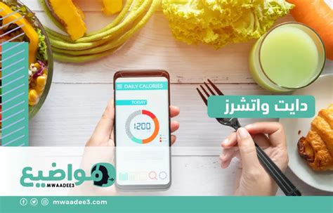 فوائد استخدام النظام الغذائي فوائد استخدام النظام الغذائي