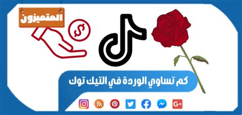 كم تكلفة Tek Tok's Rose؟ كم تكلفة Tek Tok's Rose؟
