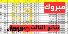 رابط الاستعلام عن نتائج الثالث المتوسط 2025 الدور الاول من موقع وزارة التربية والتعليم العراقية epedu.gov.iq برقم الامتحاني والأسم