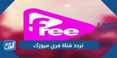 تردد قناة فري ميوزك الجديد 2025 و التعرف علي أهداف ورؤية القناة