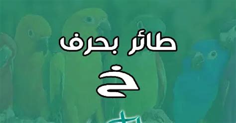 أسماء الطيور تبدأ بالحرف خا