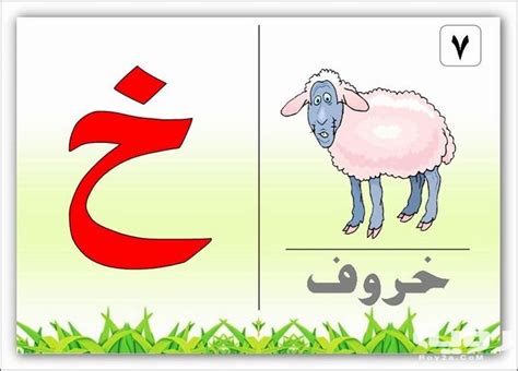 الشخص يكره اسم حيوان بالحرف خا