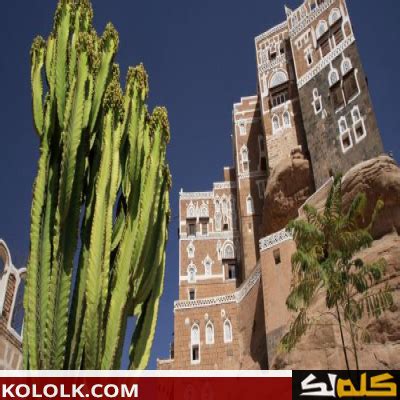 ما هي ولاية اليمن ما هي ولاية اليمن