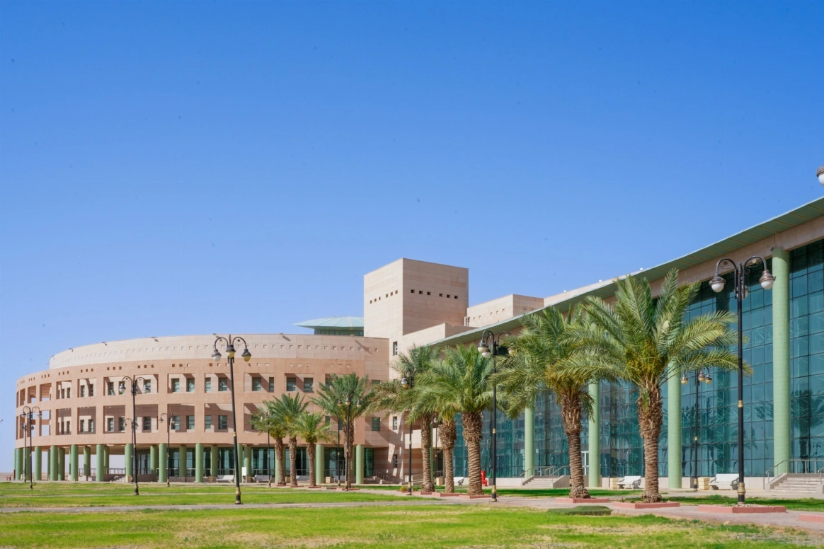 تهدف الدراسة إلى معالجة التحديات المرتبطة بالنمذجة الدقيقة للخلايا الشمسية